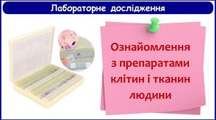 8 клас. Лабораторне дослідження «Ознайомлення з препаратами клітин і тканин людини»