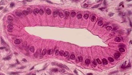 110052lv-5bea-463x264.png