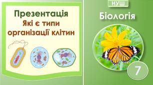 Презентація "Які є типи організації клітин". Біологія 7 клас НУШ