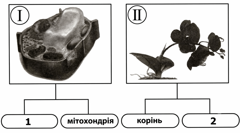 11005387-6e01-940x522.png