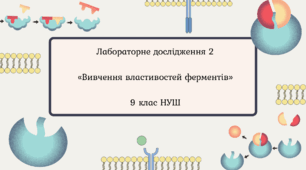 🧪 Лабораторне дослідження 2 «Вивчення властивостей ферментів» 9 клас НУШ