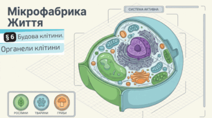 06. Будова клітини. Органели клітини