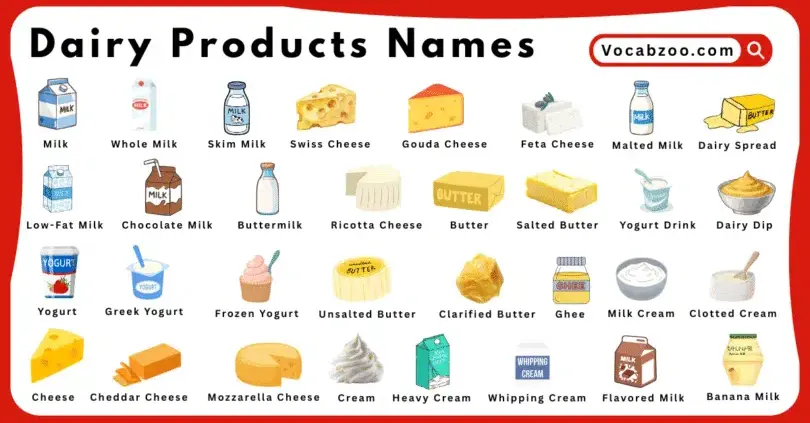Dairy Products Names for Kids in English with Pictures - Vocabzoo