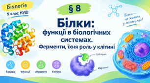 Білки: функції в біологічних системах. Ферменти, їхня роль у клітині.