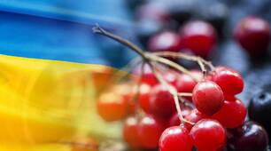 Година спілкування "Учень і закон"