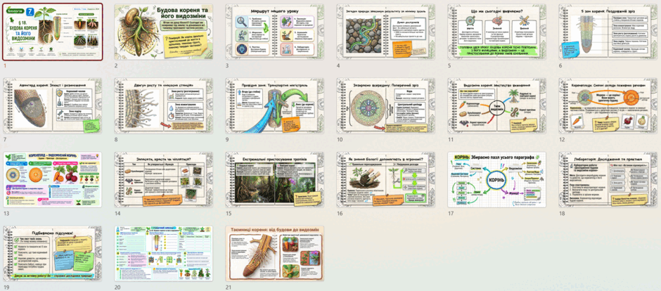 110058p8-b419-940x414.png