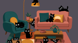 Preposition Puzzle: Spot the Black Cats (24 elements)