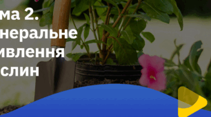 Тема 2. Мінеральне живлення рослин