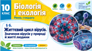 Життєвий цикл вірусів. Значення вірусів у природі й житті людини. Презентація, інфографіка, робочий аркуш