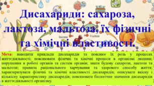 Природничі науки. 11 клас. Презентація до уроку: Дисахариди: сахароза, лактоза, мальтоза, їх фізичні та хімічні властивості.
