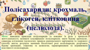 Природничі науки. 11 клас. Презентація до уроку: Полісахариди: крохмаль, глікоген, клітковина (целюлоза).