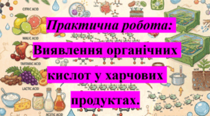 Природничі науки. 11 клас. Презентація до уроку: Практична робота: Виявлення органічних кислот у харчових продуктах.