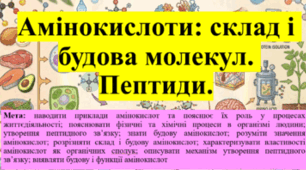 Природничі науки. 11 клас. Презентація до уроку: Амінокислоти: склад і будова молекул. Пептиди.