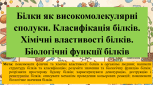 Природничі науки. 11 клас. Презентація до уроку: Білки як високомолекулярні сполуки. Класифікація білків. Хімічні властивості білків. Біологічні функції білків