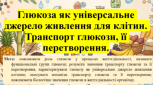 Природничі науки. 11 клас. Презентація до уроку: Глюкоза як універсальне джерело живлення для клітин. Транспорт глюкози, її перетворення.