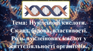 Природничі науки. 11 клас. Презентація до уроку: Нуклеїнові кислоти. Склад, будова, властивості. Роль нуклеїнових кислот у життєдіяльності організмів.