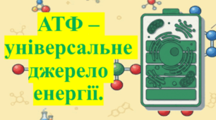 Природничі науки. 11 клас. Презентація до уроку: АТФ – універсальне джерело енергії.