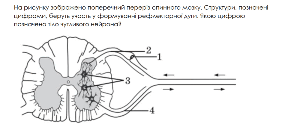 11005nn4-d22d-940x414.png