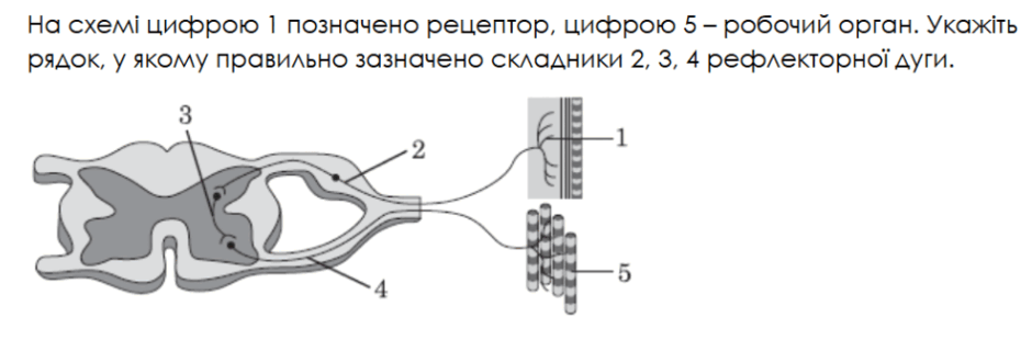 11005nof-0ea0-940x310.png
