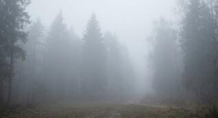 11005om4-f488-940x513.jpg