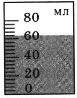 11005ppu-1470-151x192.png