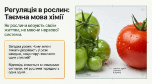 Презентація "Регуляція в рослин" 11 клас (проф)