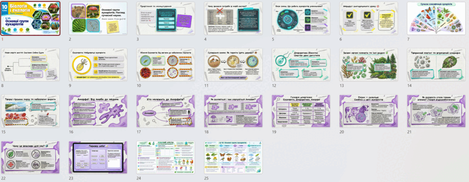 11005tn1-9413-940x366.png