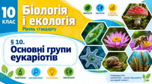Основні групи еукаріотів. Презентація, інфографіка, робочий аркуш