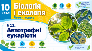 Автотрофні еукаріоти. Презентація, інфографіка, робочий аркуш