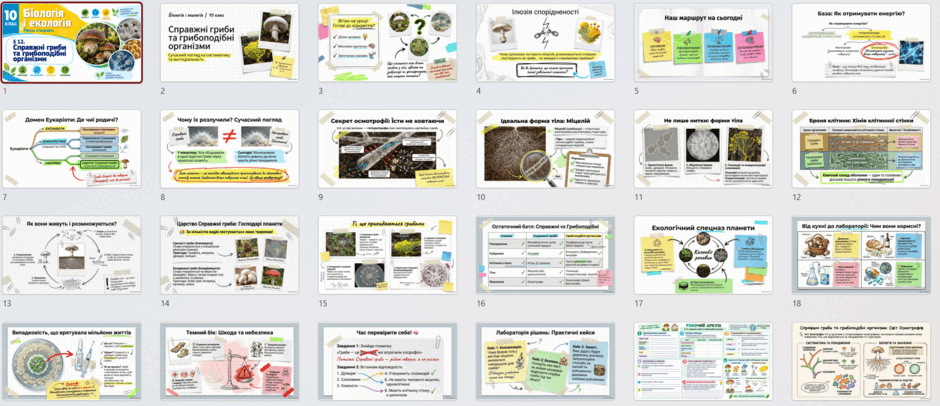 11005uo9-5172-940x406.png