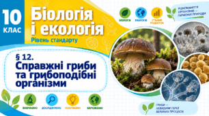 Справжні гриби та грибоподібні організми.Презентація, інфографіка, робочий аркуш