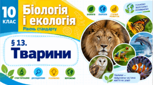 Тварини. Презентація, інфографіка, робочий аркуш