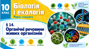 Органічні речовини живих організмів. Презентація, інфографіка, робочий аркуш