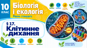 Клітинне дихання. Презентація, інфографіка, робочий аркуш