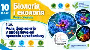 Роль ферментів у забезпеченні процесів метаболізму. Презентація, інфографіка, робочий аркуш