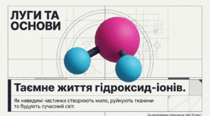 Презентація "Луги. Основи" 9 клас НУШ