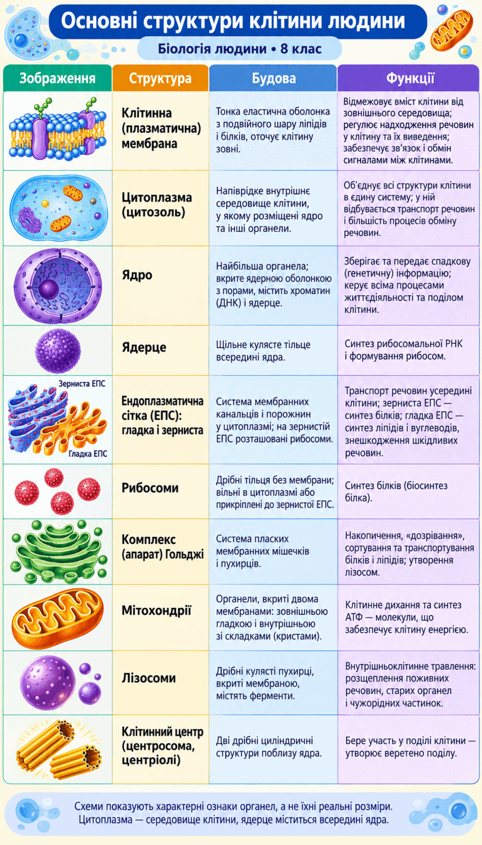 11005yyq-3a1c-940x1645.png