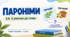 Пароніми. 5 клас. Презентація+конспект