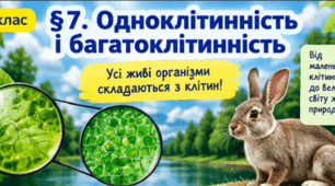 Одноклітинність та багатоклітинність. Рівень організації живої природи.5 клас .Довкілля.