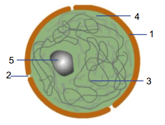 110062i6-9f62-333x252.png