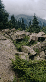 110063sg-5f50-188x334.png