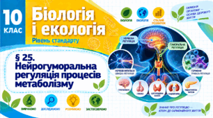 Нейрогуморальна регуляція процесів метаболізму. Презентація, інфографіка, робочий аркуш