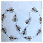 1100673b-9840-151x151.png