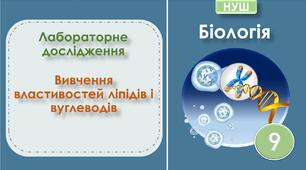 Лабораторне дослідження "Вивчення властивостей ліпідів і вуглеводів". Біологія 9 клас НУШ