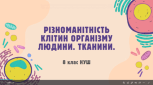 Різноманітність клітин організму людини. Тканини. 8 клас НУШ