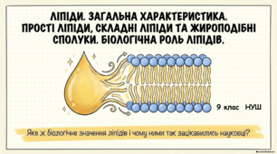 Презентація "Ліпіди. Загальна характеристика. Біологічна роль ліпідів. " 9 клас НУШ. Соболь В.І.