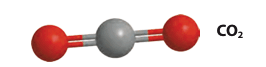 110069dz-79c7-266x67.png