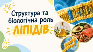 Структура та біологічна роль ліпідів. 9 клас. НУШ.