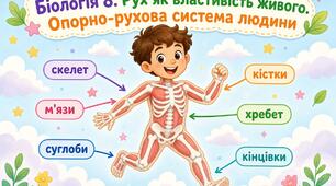 Інфографіка до уроків біології для учнів / учениць 8 класу з теми "Рух як властивість живого. Будова та функції опорно-рухової системи людини"