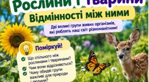 Рослини і тварини. Відмінності між ними. 5 клас Довкілля/Пізнаємо природу